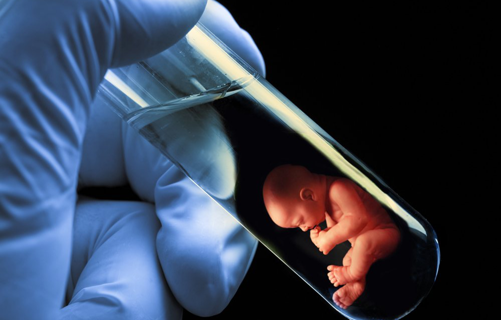 關注胚胎移植時的細節