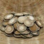 橘紅為飲化寒痰