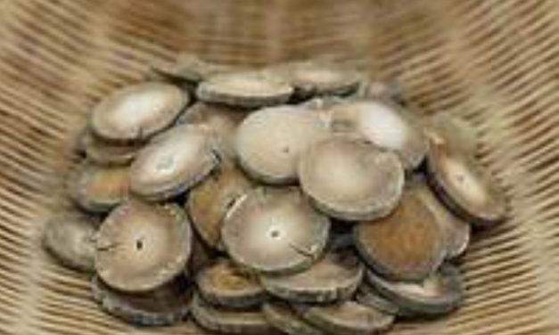 橘紅為飲化寒痰