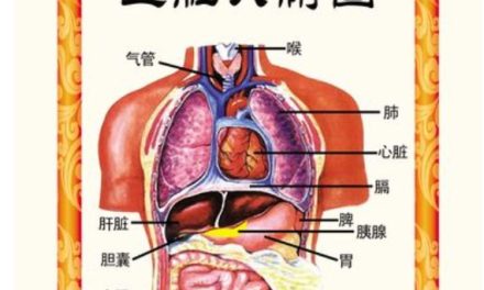 心者，五臟六腑之大主也