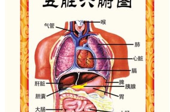 心者，五臟六腑之大主也