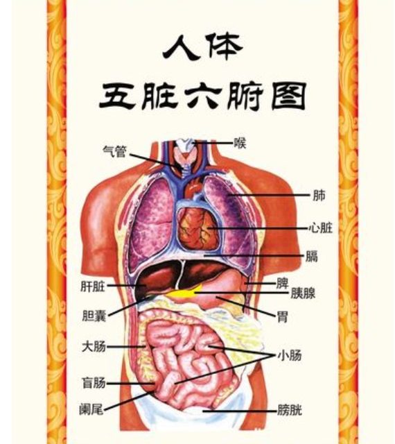 心者，五臟六腑之大主也