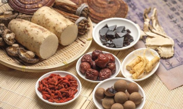 常用的補腎食療方